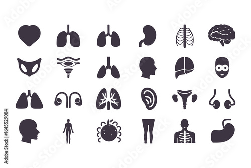 Human Organs Icon Set. Vector Medical Anatomy Symbols for Healthcare and Biology