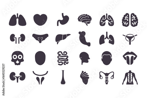 Human Organs Icon Set. Vector Medical Anatomy Symbols for Healthcare and Biology