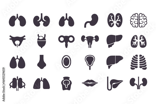 Human Organs Icon Set. Vector Medical Anatomy Symbols for Healthcare and Biology