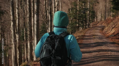 Wallpaper Mural Woman in blue sports jacket with backpack hiking in fall forest at sunny day Torontodigital.ca