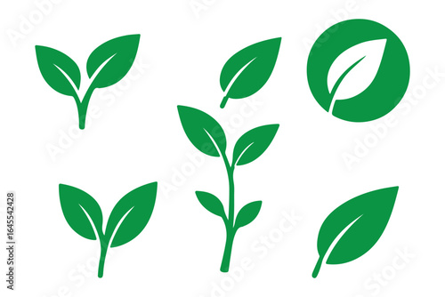 Green eco-friendly leaf icon set in minimalist style showing different leaf shapes for sustainability and nature theme