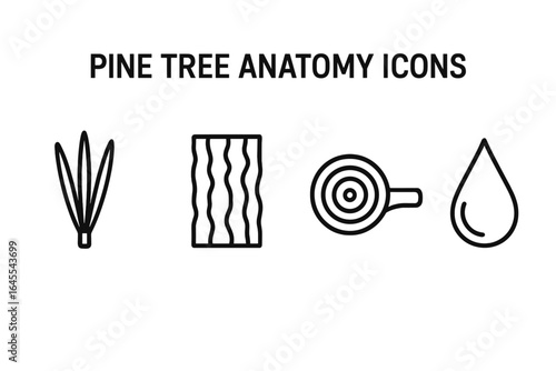 Pine tree anatomy outline icon set. Conifer parts symbol collection for botany and forestry. Vector icons of needles, bark texture, branch cross-section, tree rings, wood slice, resin drop.