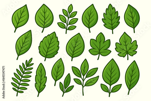 Vector leaves collection. Set of various green leaf illustrations. Cartoon style botanical elements. Natural, organic, eco friendly foliage icons for spring or summer design.