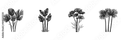 Four palm trees in black and white.