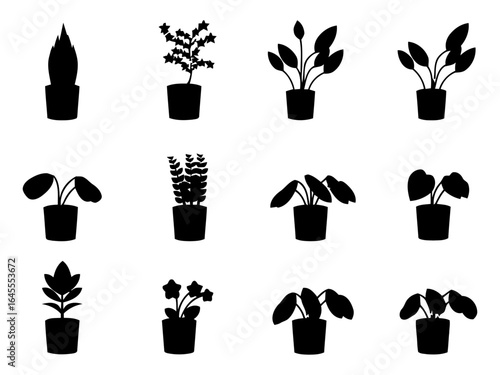 Silhouettes of various houseplants in pots.
