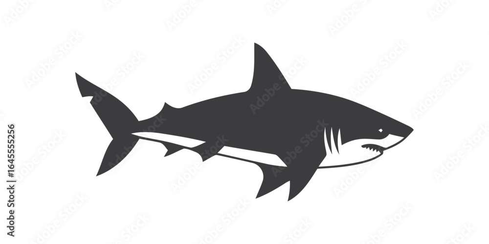 Fototapeta premium Silhouette of a great white shark.