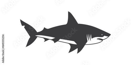 Silhouette of a great white shark.