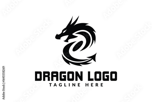 dragon logo design. logo icon vector silhouette illustration