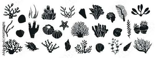 Black and white silhouettes of various sea life.