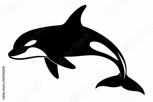 Silhouette of a leaping orca.
