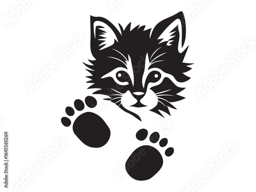 Cute kitten peeking with paw prints.
