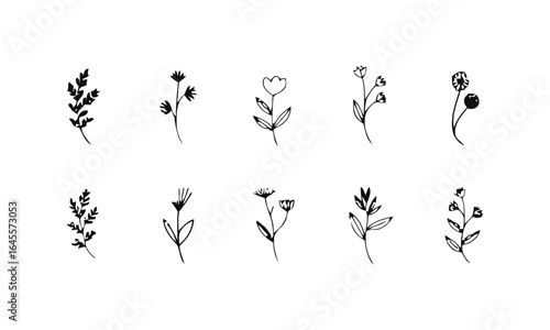 Simple black line drawings of various flowers and plants.
