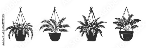 Hanging plants in decorative pots.