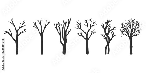 Silhouettes of bare winter trees.