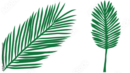 Two green palm leaves, stylized and simple.
