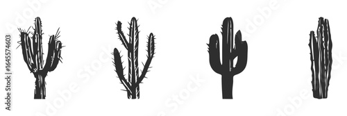 Four desert cacti silhouetted against white.