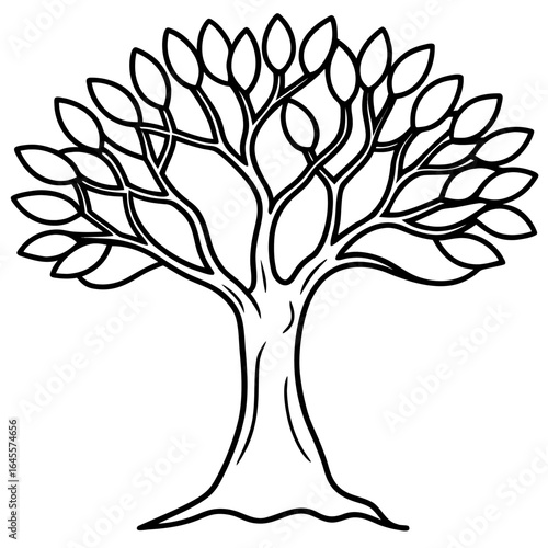 Minimalist olive tree line drawing for clean designs