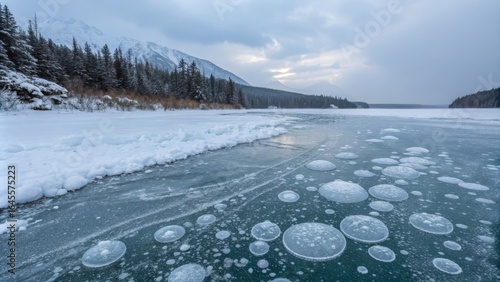 Frozen Methane Bubbles on W...