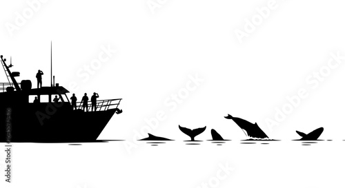 whale watching expedition silhouette of a research vessel and humpback whales breaching perfect for environmental conservation marine biology and ocean exploration projects