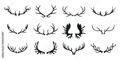 Silhouette of various deer antlers.