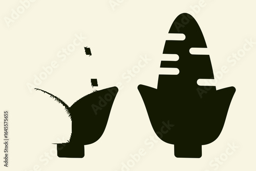 Corn plant growing, seeds dispersing. Agricultural cycle.
