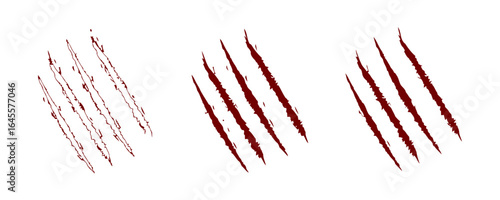 Multiple claw marks on a white background.