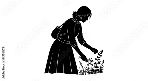 woman harvesting herbs a silhouette illustration for wellness botanical and ecofriendly businesses
