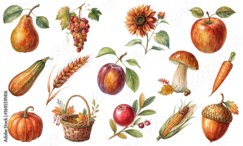 Watercolor Autumn Harvest Clipart Set