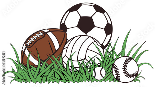 Assorted Sport Balls in Grass Soccer Football Baseball Volleyball.