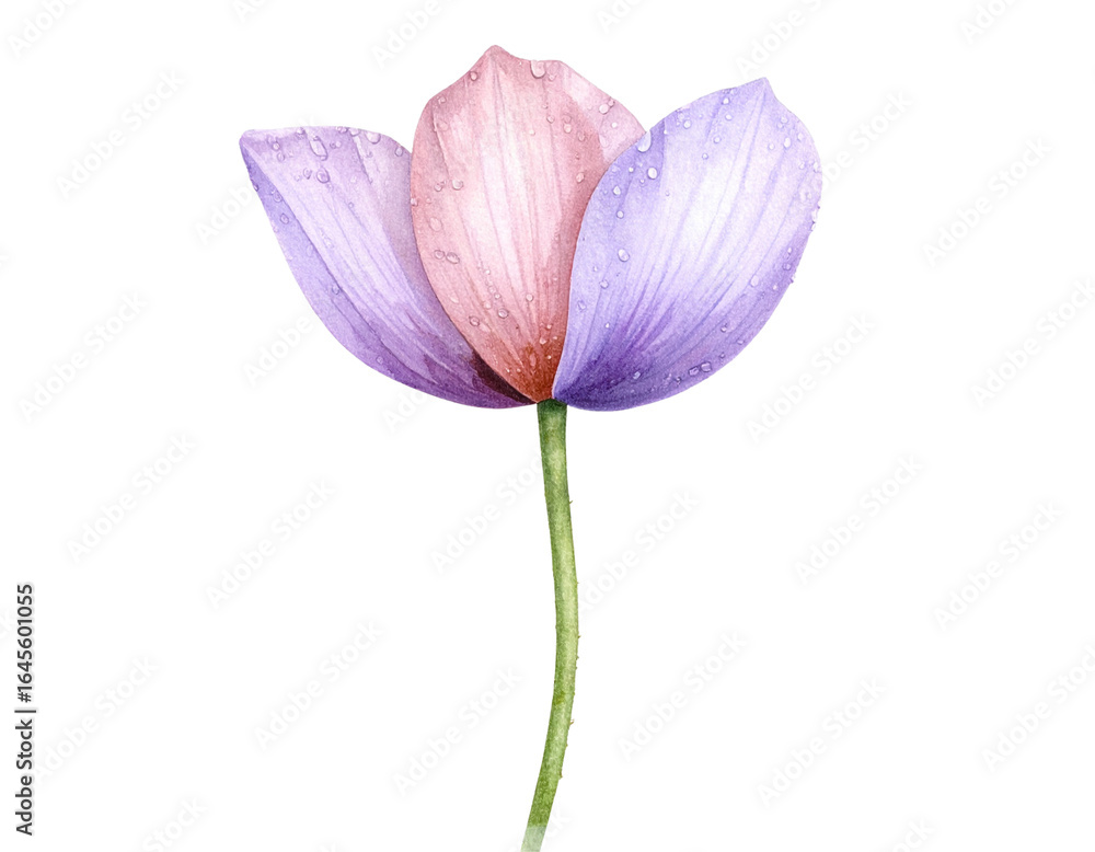 Fototapeta premium Angled Watercolor Flower Icon with Droplets, Side Perspective, Isolated