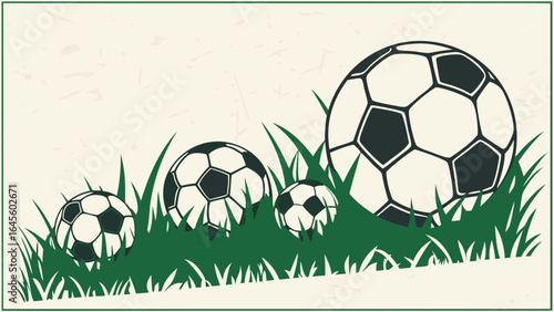 Three Soccer Balls in Green Grass Varying Sizes.