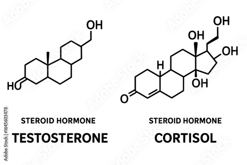 Testosterone and Cortisol chemical structure. Steroid hormone skeletal formula. Molecular model for science, chemistry, biology, education, and endocrinology vector icon set.