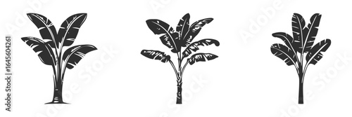 Three stylized banana trees.