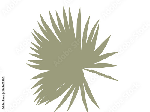Muted green palm frond silhouette.
