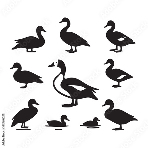 Silhouette collection of various ducks.
