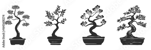 Four bonsai trees in pots. Traditional Asian art.