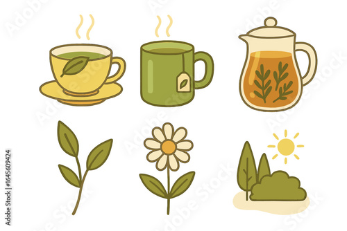 Herbal tea set vector cartoon illustration. Cozy minimalist icons of hot drink, teacup, mug, pitcher. Nature inspired elements like chamomile flower, leaves, and sunny park.