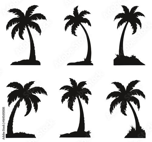 Silhouette of six palm trees.

