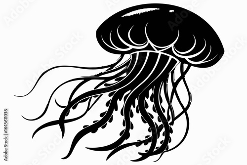 Silhouette of a jellyfish, elegant and mysterious.

