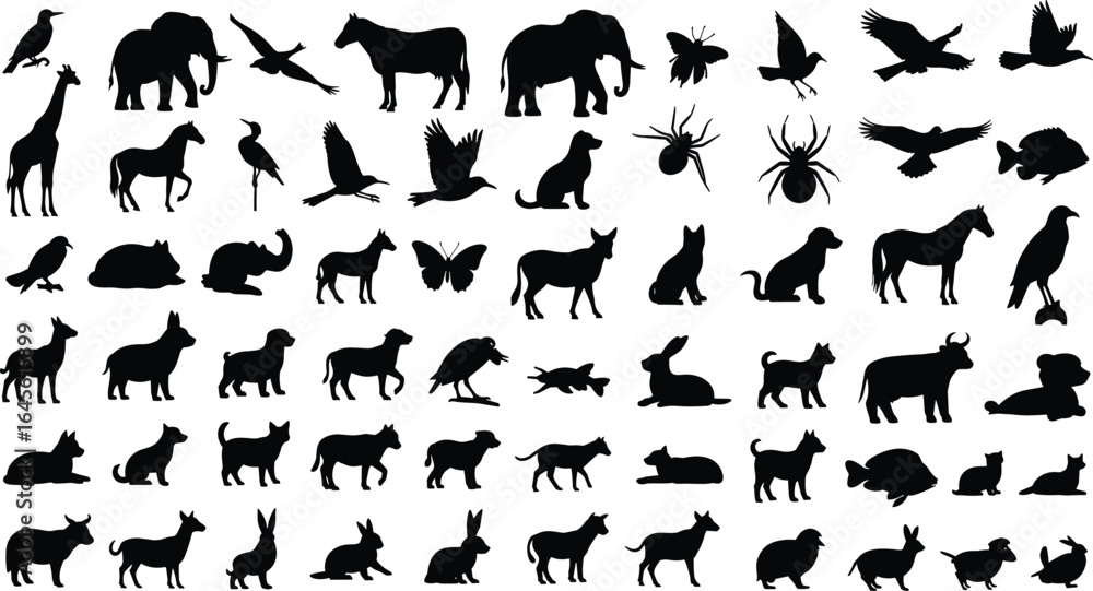 Naklejka premium Animal silhouettes collection, wildlife icons, nature design elements, birds, mammals, reptiles, insects, fish, educational graphics, vector shapes, illustrations