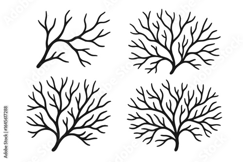 Vector set of abstract tree branch growth stages. Hand drawn organic plant silhouette evolution. Doodle style bare winter tree, coral, or neuron network icons collection.