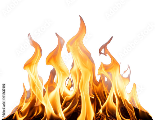 Small Isolated Campfire Flames, Close-Up View, Transparent Background