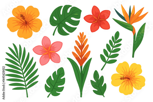 Set of tropical flowers and leaves. Vector illustration of hibiscus, plumeria, monstera, and palm leaf. Exotic jungle botanical elements for summer design. Flat cartoon style.