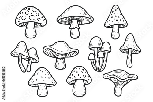 Mushroom set vector illustration. Hand drawn fungi collection in black and white. Cartoon doodle sketch style. Forest toadstool, natural organic food. Line art icon pack.