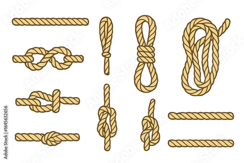 Rope and knot collection vector set. Nautical, sailing, and climbing knots illustration. Twisted cord, string, and marine loop icons. Different hitches and ties isolated.