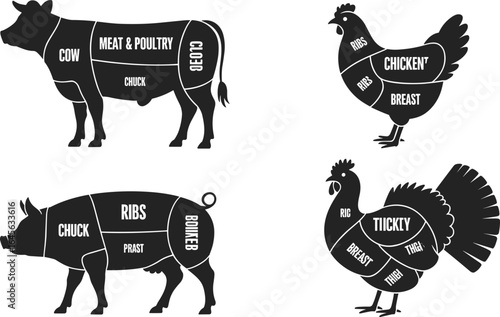 Black and White Meat Cuts Diagram of Cow, Pig, Chicken, and Turkey, Butcher Chart Illustration, Farm Animal Parts Vector Set
