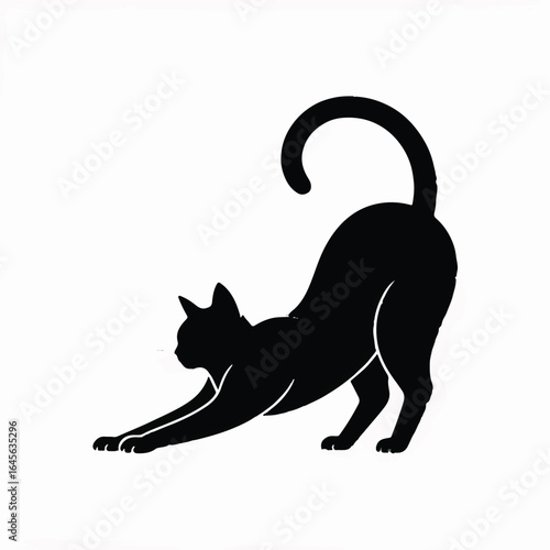Black cat stretching on white background yoga feline
