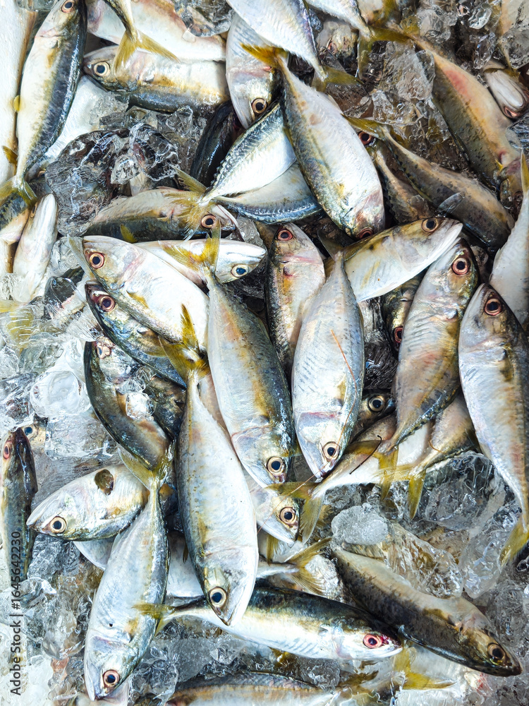 Obraz premium Photo of fresh mackerel in a box filled with ice sold at the market