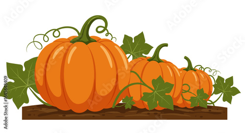Flat style autumn pumpkins with vines on wooden plank