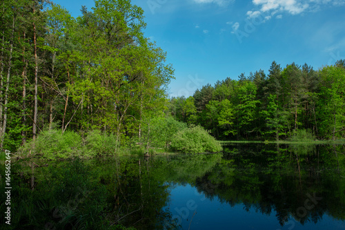 Spring panorama of a forest lake against a background of blue sky and distant mountains